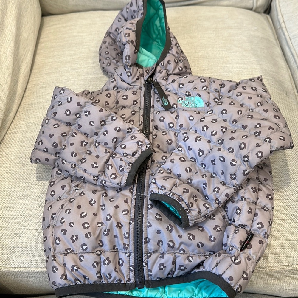 The north face puffer